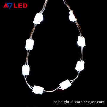 Adled Light dc12v ip67 0.36w single light small 2835 led module for restaurant sign
